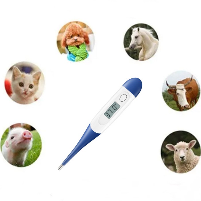 veterinary thermometer veterinary thermometer