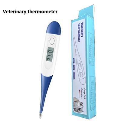 Termometer Digital Kedokteran Hewan